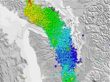 Strain Data