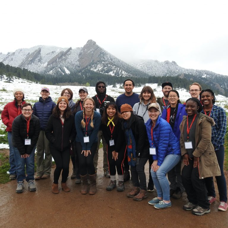 2019 RESESS interns posing in front of a large, snowy mountain.
