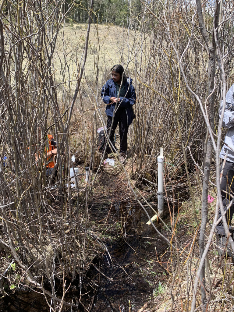 2022 RESESS intern Shradha Ravikumar stands near the streambed in the Manitou Experimental Forest during field work to measure water temperatures in a stream at different depths.