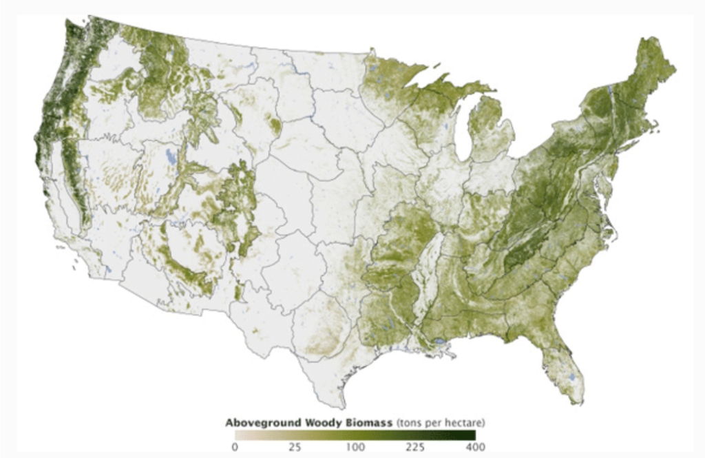 map of forests in contiguous United States