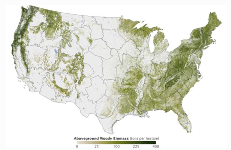 map of United States showing aboveground woody biomass in tons per hectare